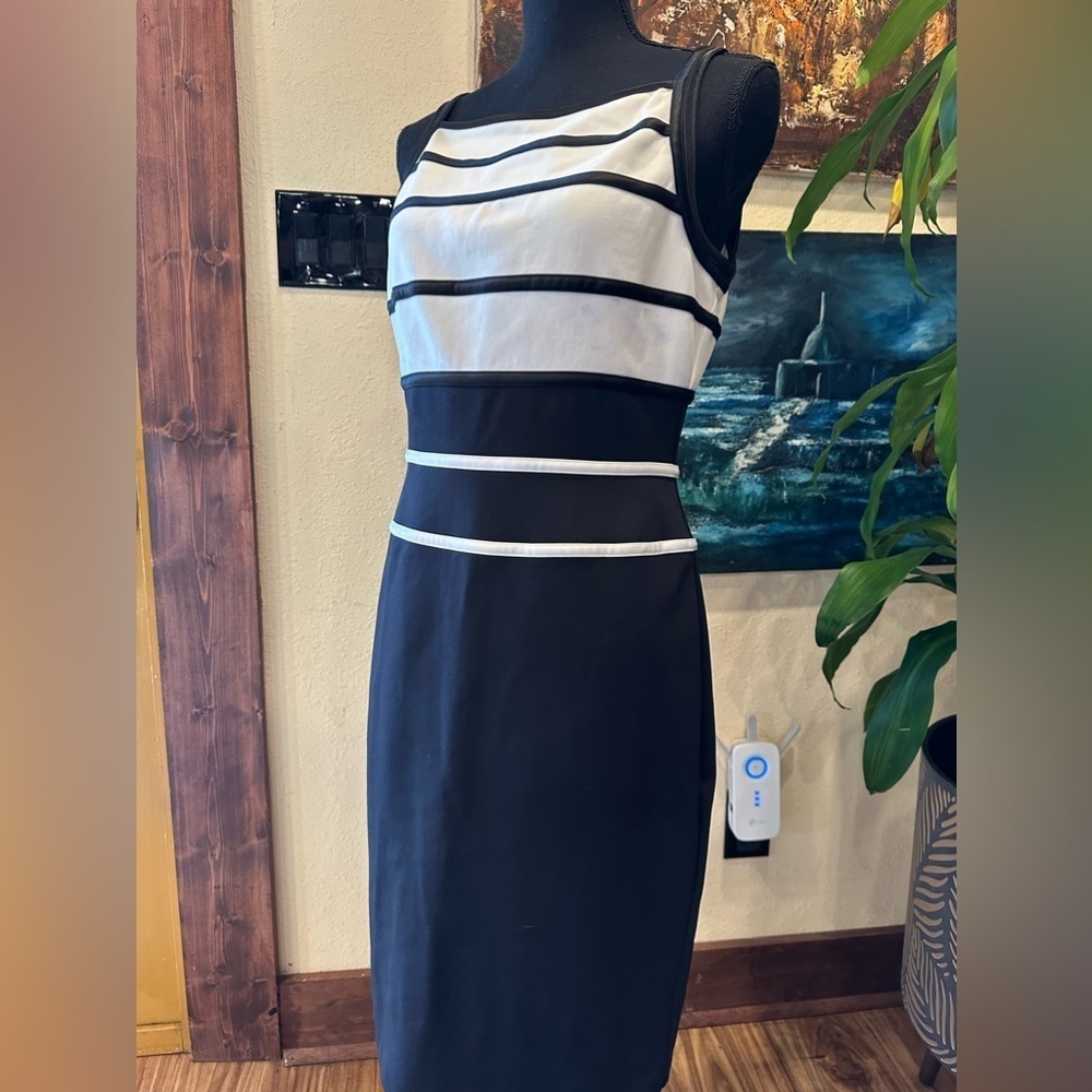 White House Black Market Minimalist Career Sheath Dress | Monochrome Stripe | 6 - Picture 4 of 10